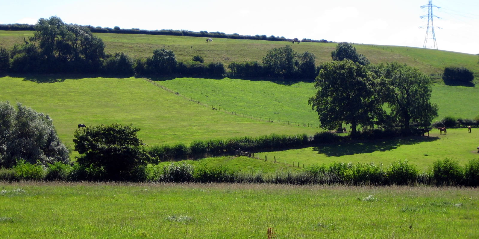 Widdenhill Farm Fields
