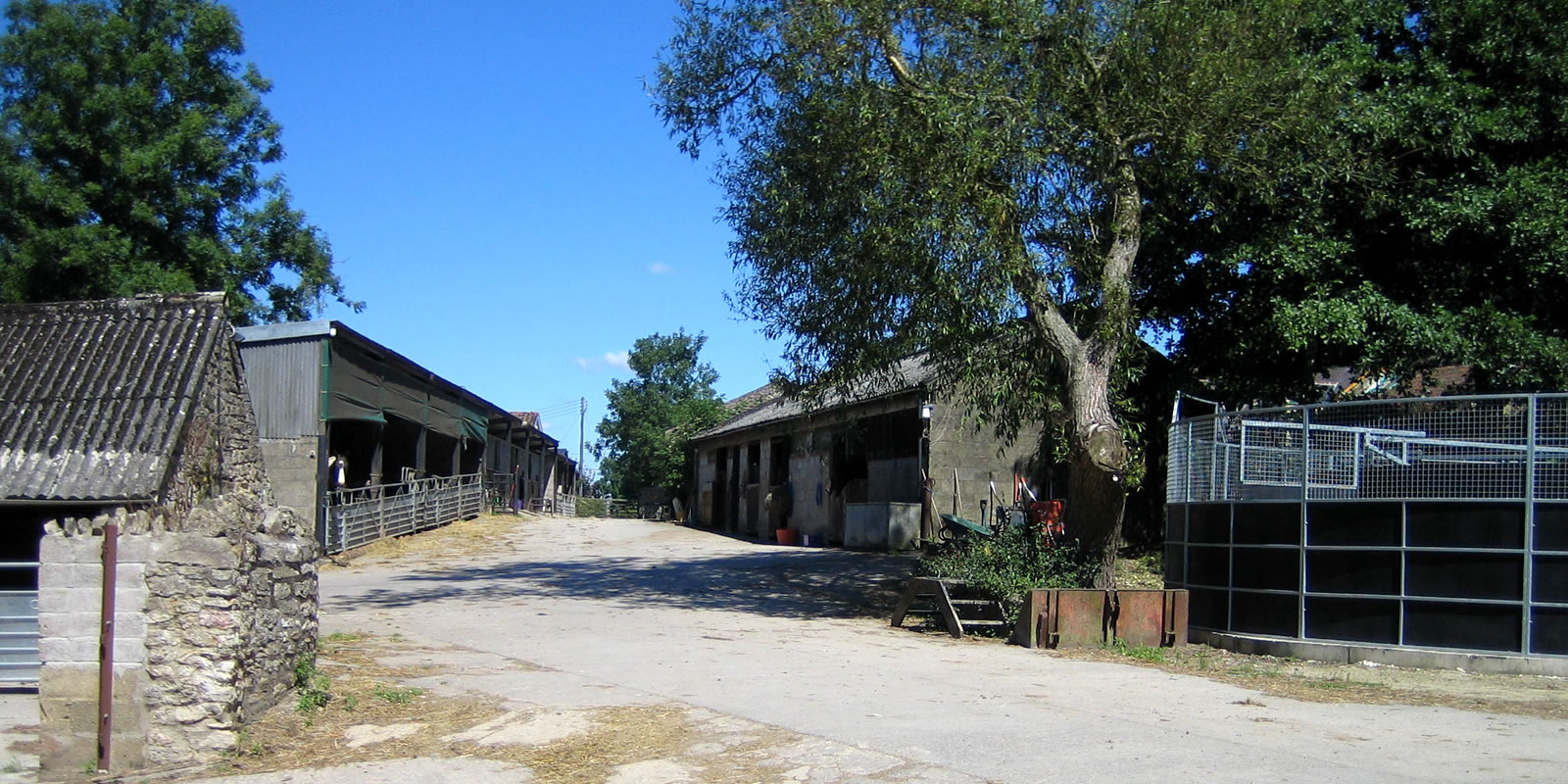 Widdenhill Farm Stables