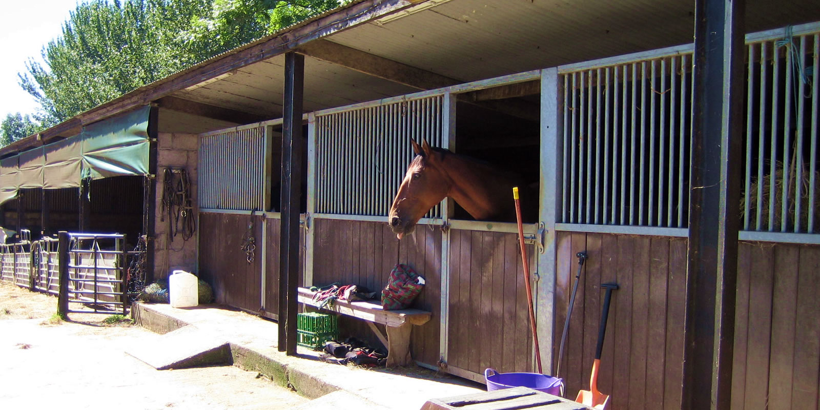 Widdenhill Farm Stables